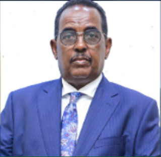 H.E. Mohamed Adam Moalim Ali